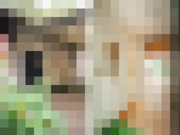 Heidebadweg 24 Epe thumbnail 4