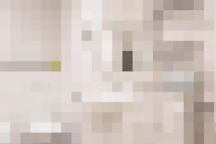 Heidebeemd 3 Weert thumbnail 21