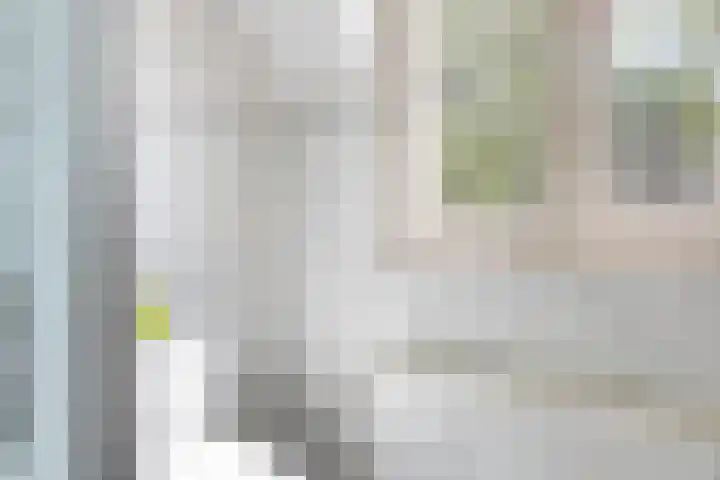 Heidebeemd 3 Weert thumbnail 30