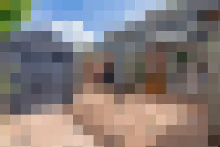 Heidebeemd 3 Weert thumbnail 35