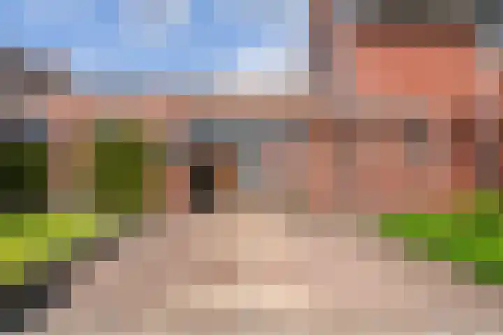 Heidebeemd 3 Weert thumbnail 38