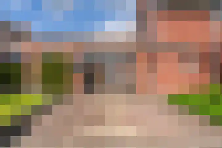 Heidebeemd 3 Weert thumbnail 39