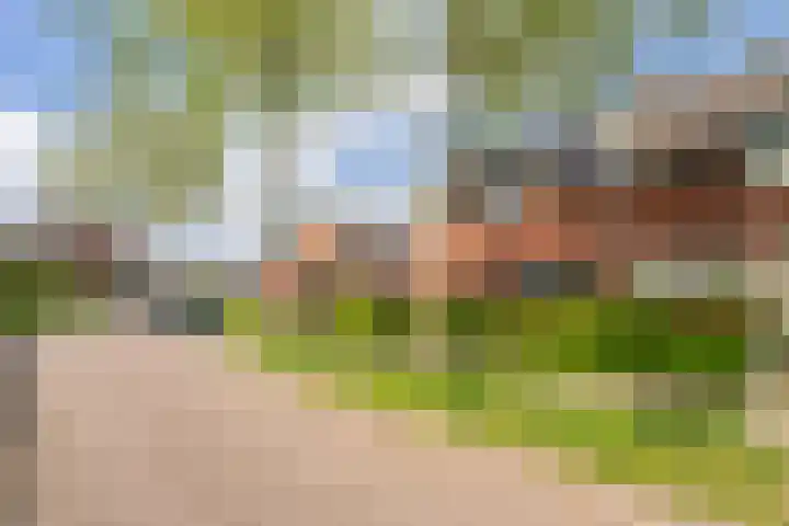 Heidebeemd 3 Weert thumbnail 41