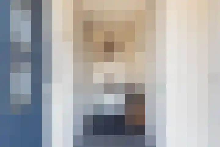 Heidebeemd 3 Weert thumbnail 8