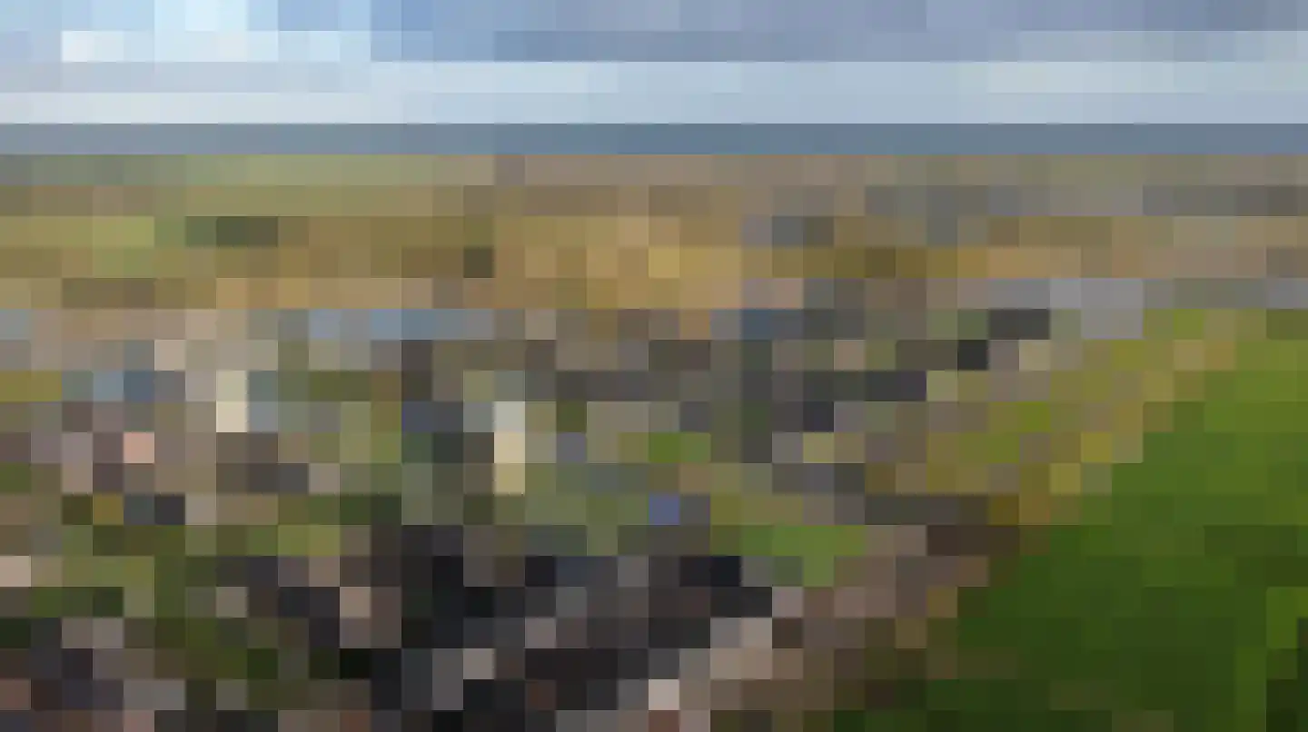 Heideblauwtje 15 Wolvega thumbnail 5