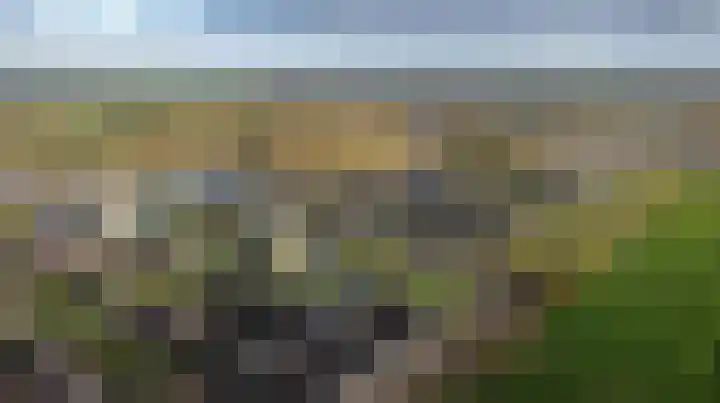 Heideblauwtje 18 Wolvega thumbnail 6