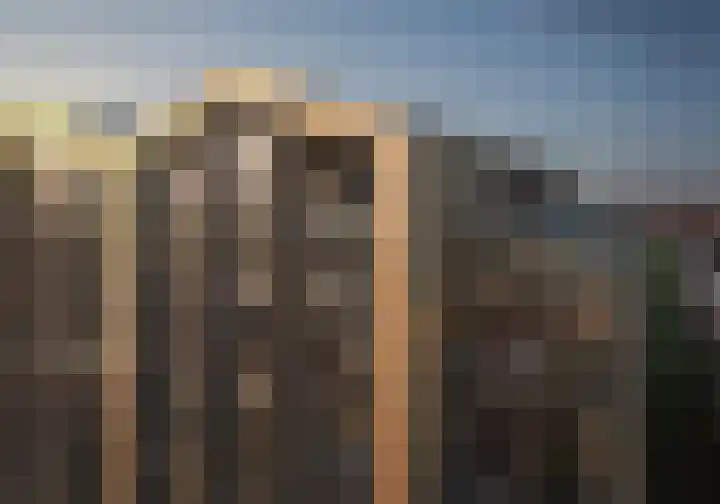 Heideblauwtje 9 Wolvega thumbnail 4