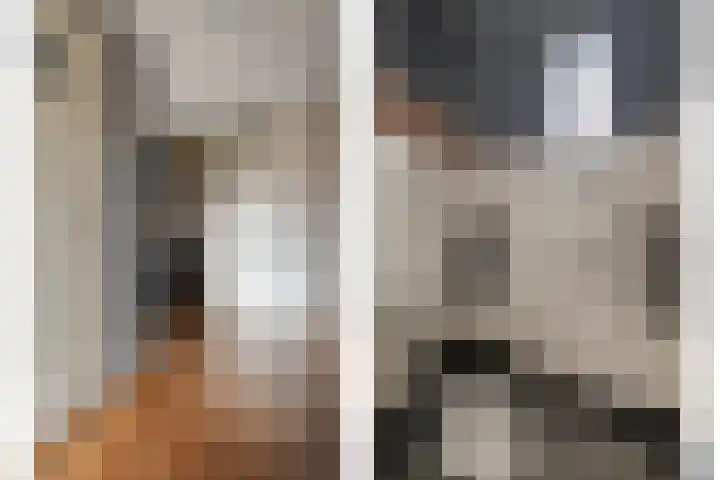 Heidehoek 10 Vroomshoop thumbnail 10