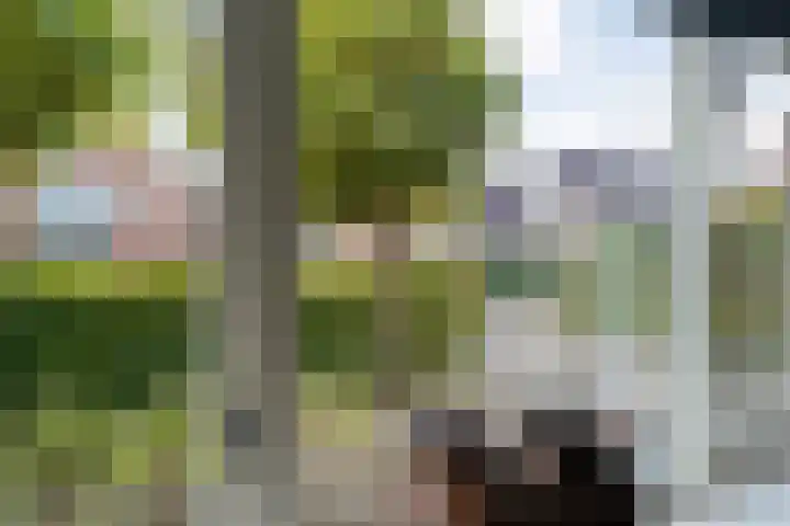Heidehoek 10 Vroomshoop thumbnail 14