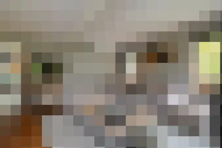 Heidehoek 10 Vroomshoop thumbnail 16