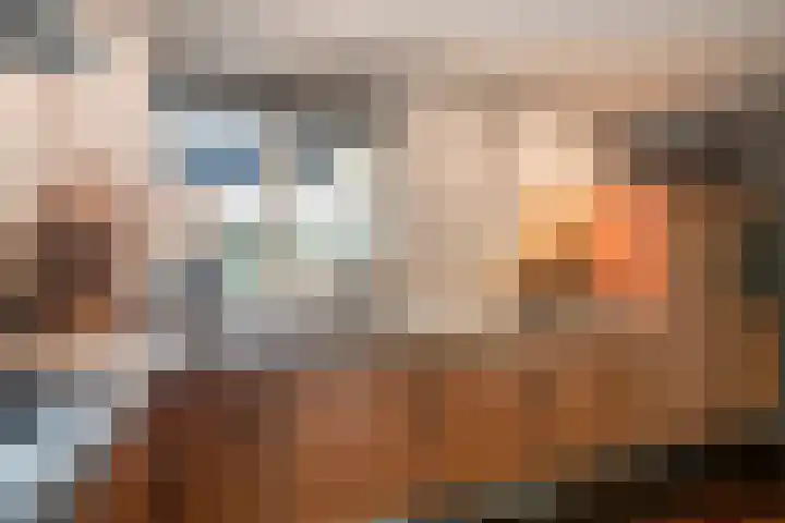 Heidehoek 10 Vroomshoop thumbnail 21