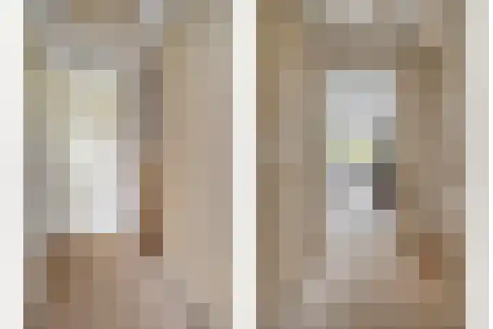 Heidehoek 10 Vroomshoop thumbnail 23