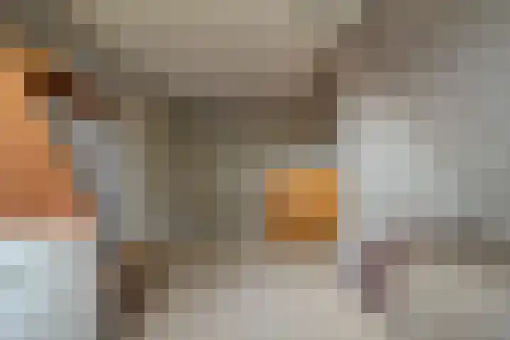 Heidehoek 10 Vroomshoop thumbnail 27