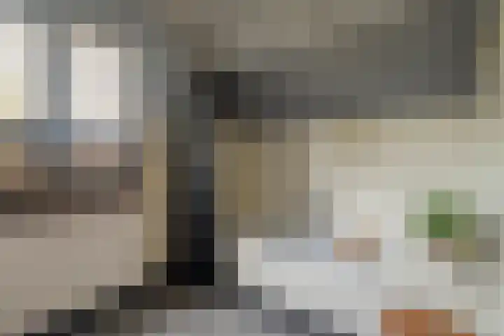 Heidehoek 10 Vroomshoop thumbnail 29