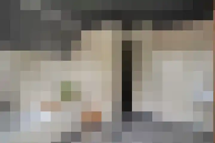Heidehoek 10 Vroomshoop thumbnail 30