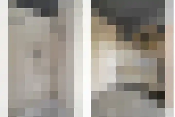 Heidehoek 10 Vroomshoop thumbnail 32