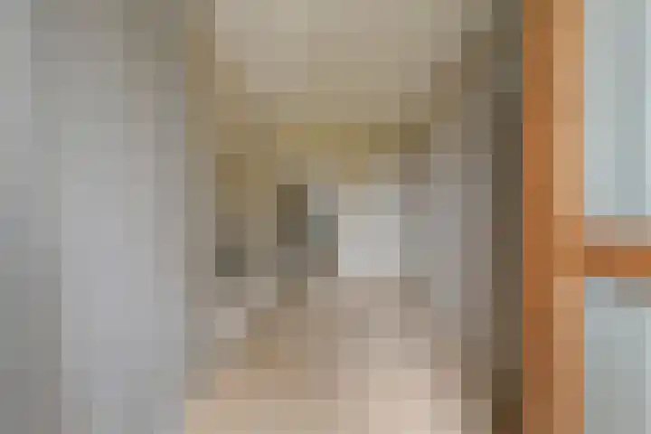 Heidehoek 10 Vroomshoop thumbnail 35