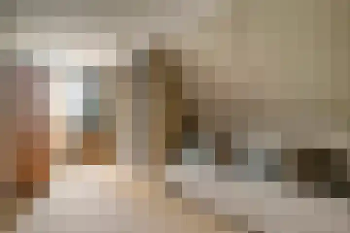 Heidehoek 10 Vroomshoop thumbnail 36