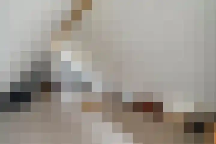 Heidehoek 10 Vroomshoop thumbnail 37