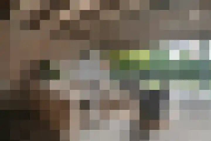 Heidehoek 10 Vroomshoop thumbnail 39