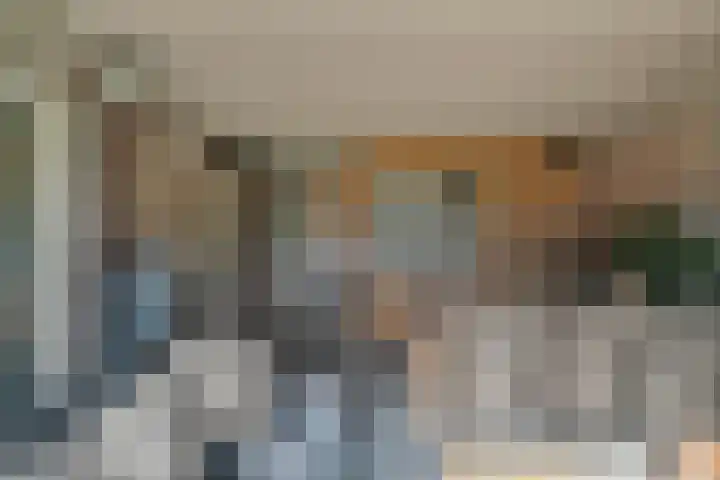 Heidehoek 10 Vroomshoop thumbnail 42