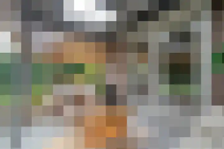 Heidehoek 10 Vroomshoop thumbnail 44