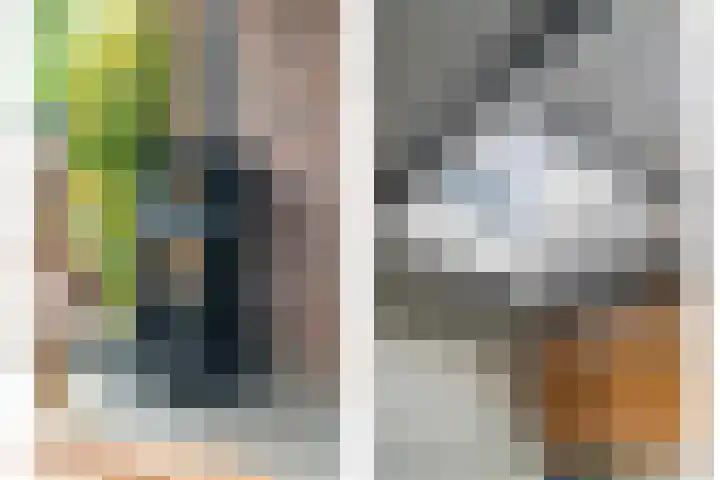 Heidehoek 10 Vroomshoop thumbnail 45