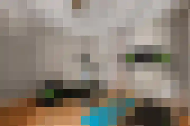 Heidehoek 10 Vroomshoop thumbnail 49