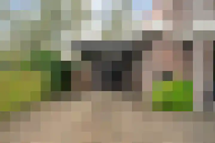 Heidehoek 10 Vroomshoop thumbnail 5