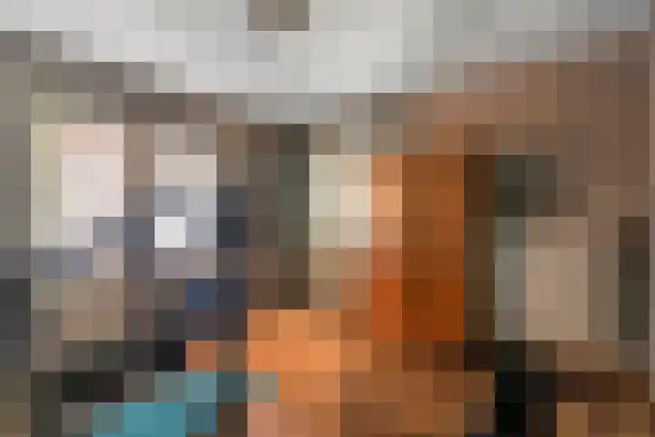 Heidehoek 10 Vroomshoop thumbnail 50