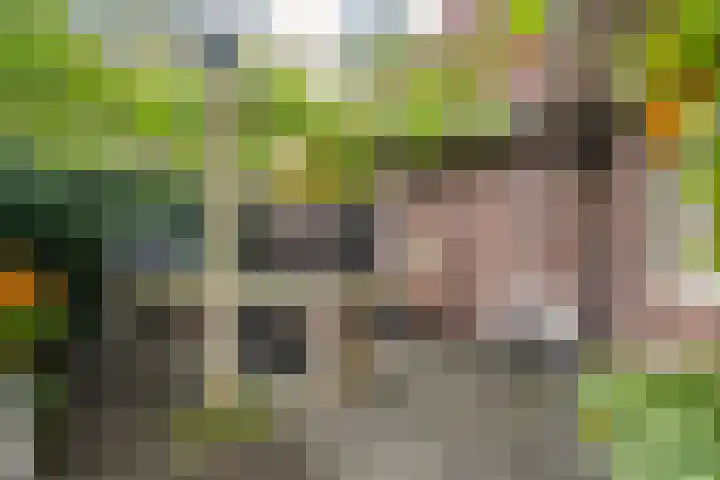 Heidehoek 10 Vroomshoop thumbnail 51