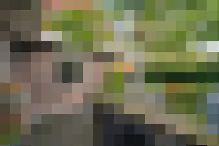 Heidehoek 10 Vroomshoop thumbnail 52