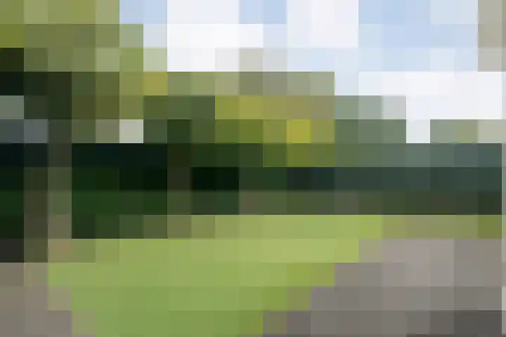 Heidehoek 10 Vroomshoop thumbnail 53