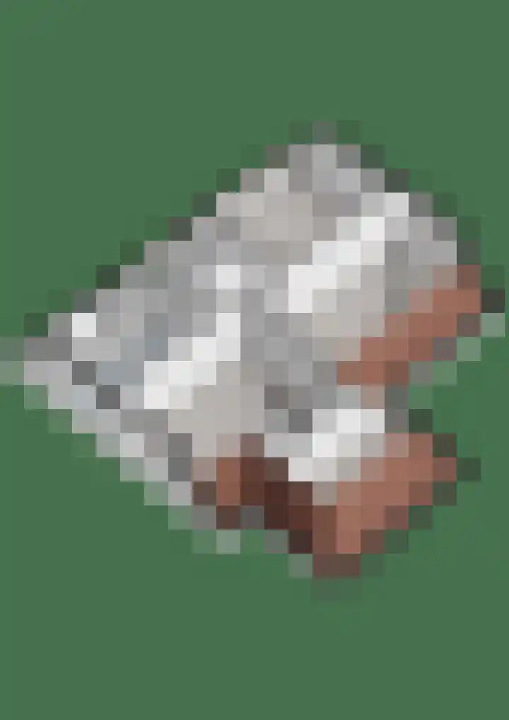 Heidehoek 10 Vroomshoop thumbnail 58