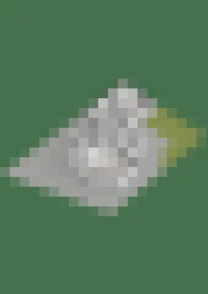 Heidehoek 10 Vroomshoop thumbnail 62