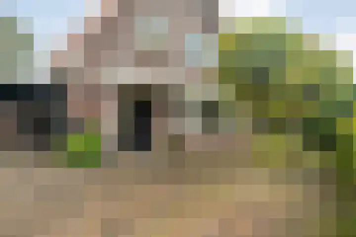 Heidehoek 10 Vroomshoop thumbnail 7
