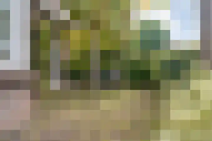 Heidehoek 10 Vroomshoop thumbnail 8