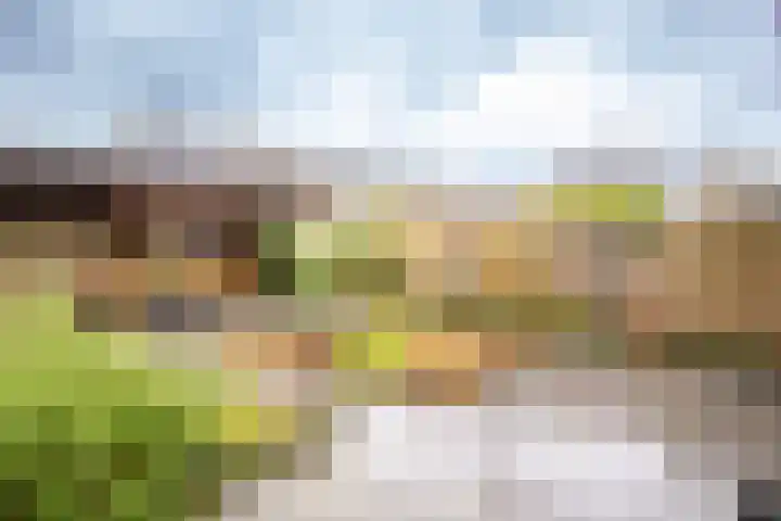 Heidehof 24 Losser thumbnail 21