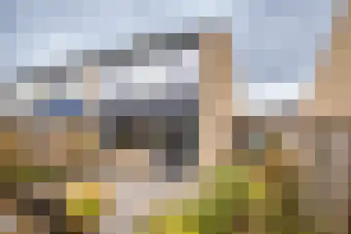 Heidehof 24 Losser thumbnail 23