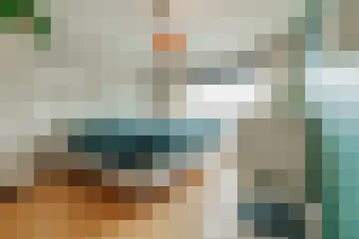Heidehof 24 Losser thumbnail 25