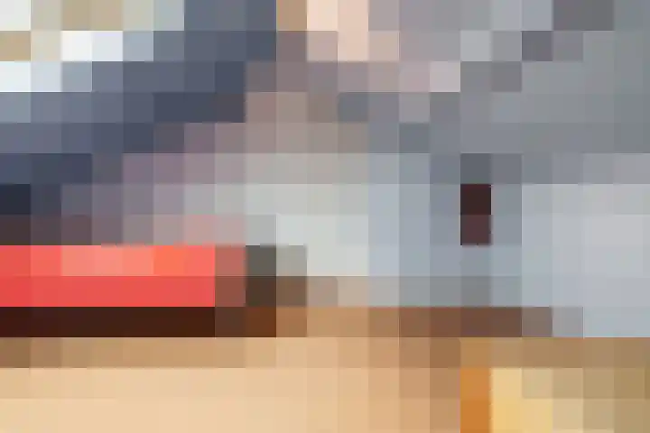 Heidehof 24 Losser thumbnail 38