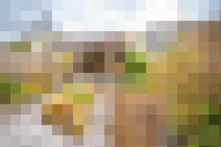 Heidehof 24 Losser thumbnail 4