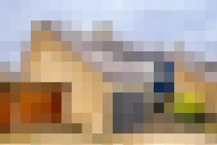 Heidehof 24 Losser thumbnail 42