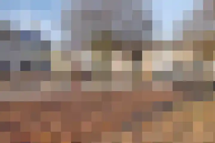 Heidehof 28 Made thumbnail 28