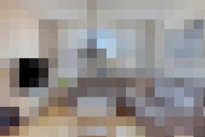 Heidehof 28 Made thumbnail 9