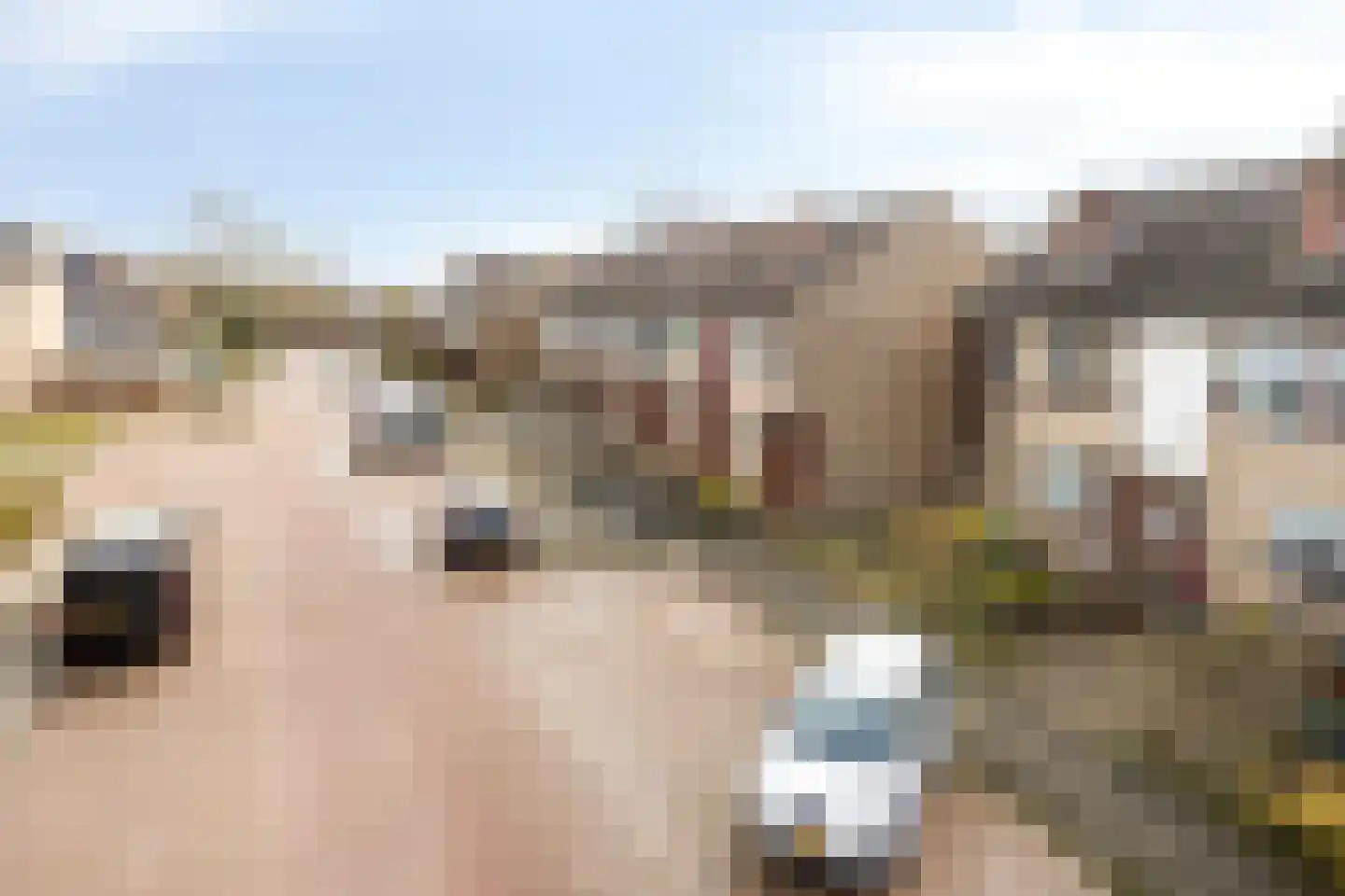 Heidehof 56 Made thumbnail 37