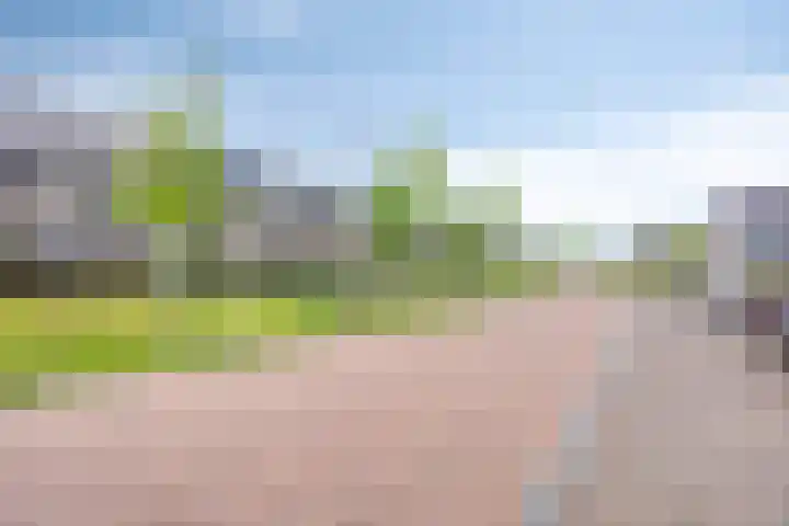 Heidehof 56 Made thumbnail 4