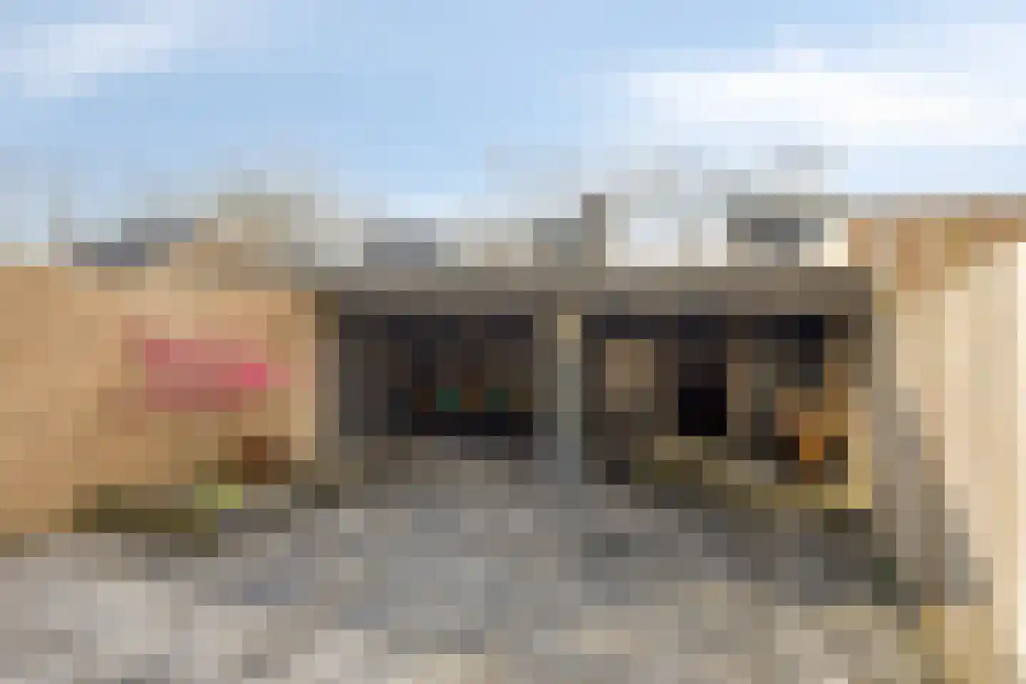 Heidehof 56 Made thumbnail 4