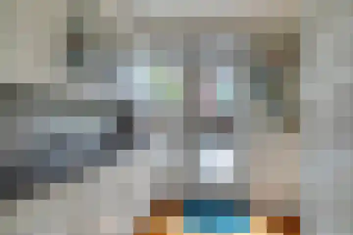 Heidekruid 48 Rotterdam thumbnail 15