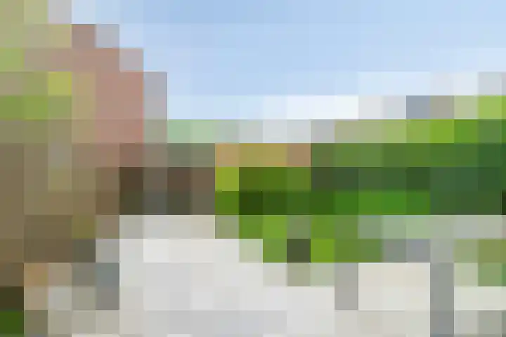 Heidekruid 48 Rotterdam thumbnail 26